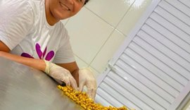 Iniciativa com sururu na Educação de Maceió garante sustento de marisqueiras