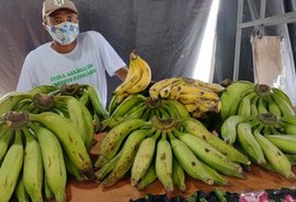 Coqueiro Seco festeja emancipação política com feira agrária