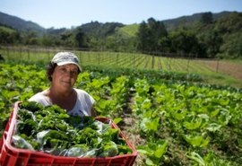 BNDES e entidades lançam chamadas de até R$ 4 mi para pequenos agricultores