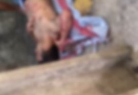 Homem é baleado em tentativa de homicídio no Benedito Bentes