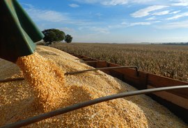 Brasil será maior exportador de grãos do mundo em cinco anos