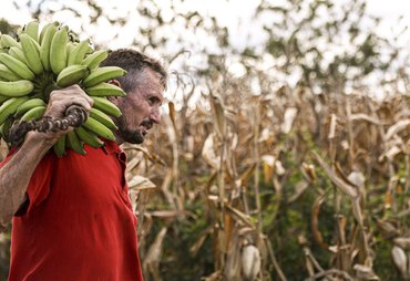 Câmara aprova uso de recursos do FGO em operações do Pronaf