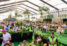 Eventos repensam práticas sustentáveis para reduzir impacto ambiental na virada do ano