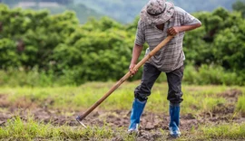 Câmara aprova uso do Fundo Social para apoiar agricultores em calamidades