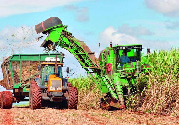 Colheita mecanizada: Alagoas lidera ranking no Nordeste