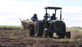 Plantadeiras reduzem custos de produção da cana