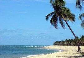 Vídeo: pescadores são surpreendidos com milhares de peixes em Coruripe