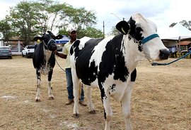 Expo Bacia: Expectativa é participação de 500 animais