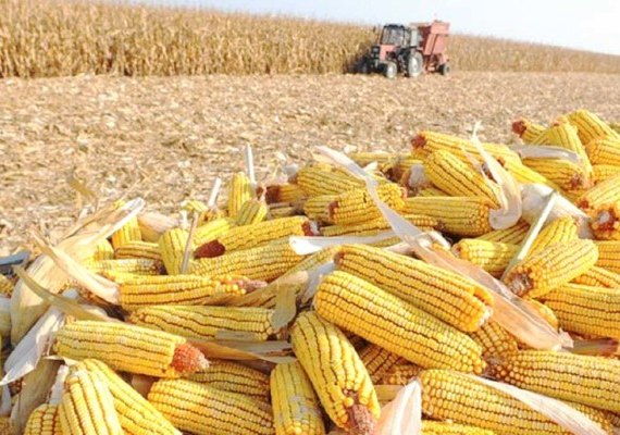 No último ano agronegócio brasileiro exportou US$ 96,8 bilhões