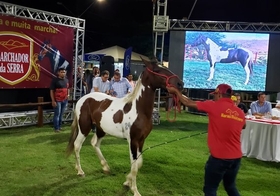 Expoagro/AL contará com Shopping Raça Mangalarga