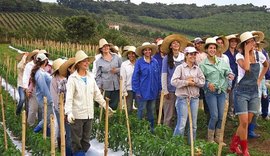 Fetag/AL oferece curso de Formação Política das Mulheres