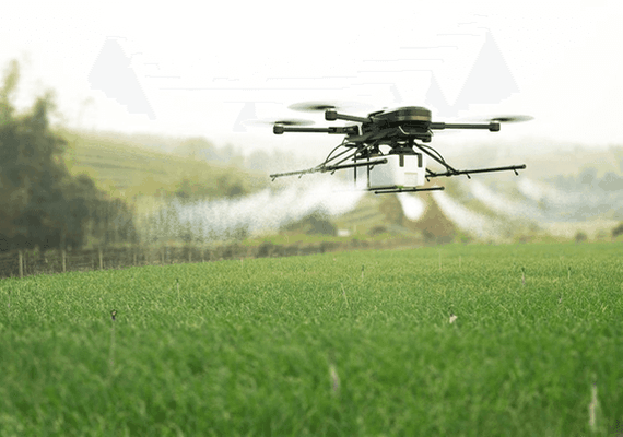 Drone promete aplicação mais barata e eficiente de produtos agrícolas em Alagoas