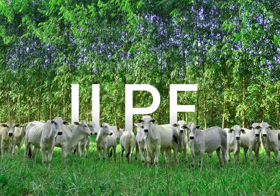 Embrapa divulga avaliação econômica do ILPF