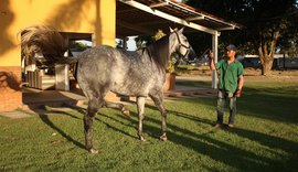 Leilão Vale Rico ofertará produtos durante Vaquejada do Milhão