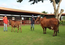 Agropecuária Pereira já está com tudo pronto para o 6º Genética de Berço
