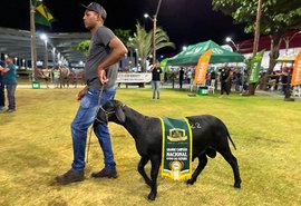 Leilão Santa Inês movimenta mais de R$ 440 mil com os melhores da 72ª Expoagro Alagoas