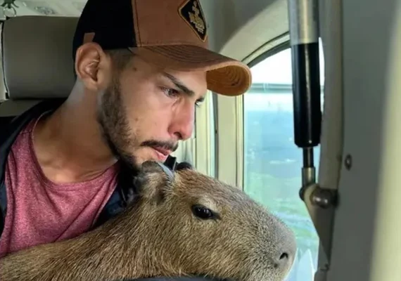 Tiktoker que criava capivara entrega bicho ao Ibama
