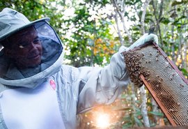Setor de apicultura em Alagoas cresce com investimento do BNB