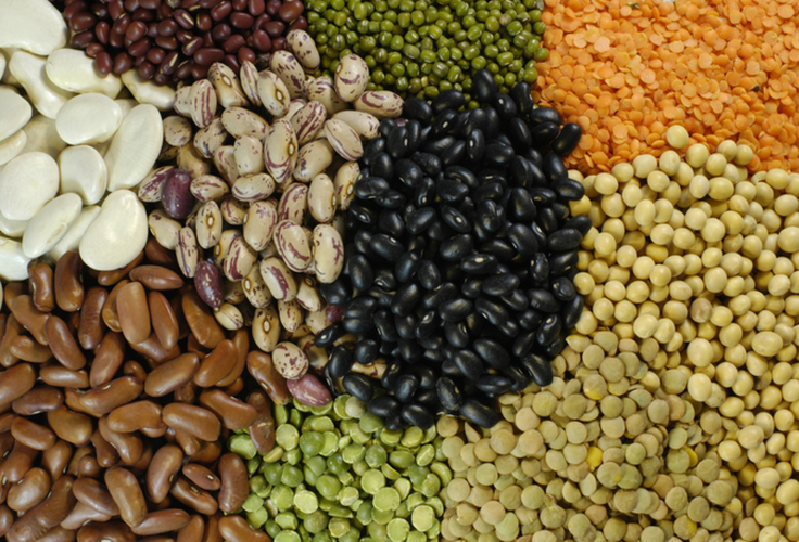Exportações brasileiras de pulses crescem 30% em 2025