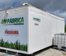 Biofábrica de Pindorama desenvolve canaviais e gera economia aos cooperados com produção local de defensivos biológicos