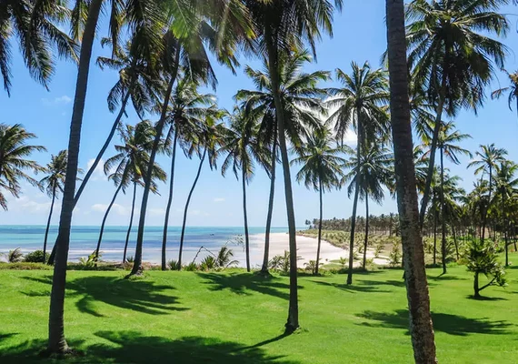 Coruripe entra em guia da Netflix e mira turismo internacional