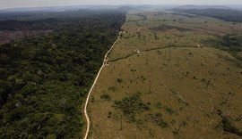 Alemanha suspende parte de verba que iria para a Amazônia