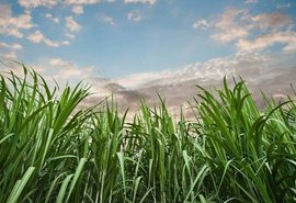 ATR tem crescimento de quase 8% em maio