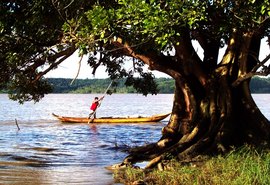 Cinema à beira da Lagoa: Cine Manguaba realiza sua primeira edição em Marechal Deodoro