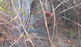 Incêndio na Chapada dos Veadeiros é extinto após cerca de duas semanas