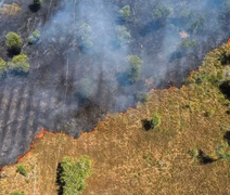 Amazônia registra menor índice de desmatamento em dez anos, aponta Inpe