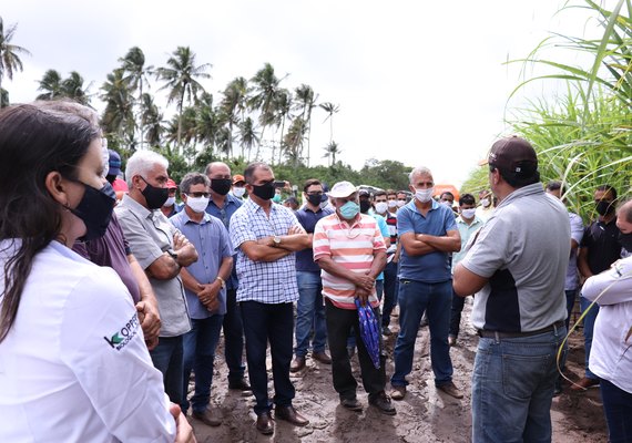 Dia de campo mostra testes com a cana 3.0 em Pindorama