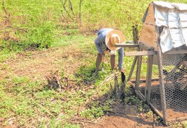 Projeto Sustentável: Tecnologias Agrícolas de Baixo Carbono chegam a região de Batalha-AL