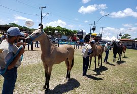 Julgamentos da Expoagro Alagoas  agregaram  valor comercial aos rebanhos