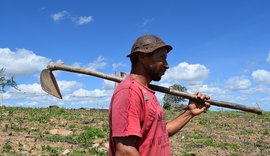 Iteral garante registro de lotes em assentamento de Belo Monte