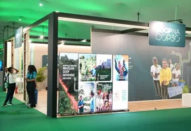 Cinco conquistas do Ano Internacional das Cooperativas