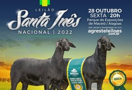 'Melhores dos melhores' da ASBI serão ofertados no Leilão Santa Inês Nacional 2022