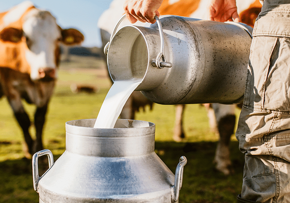 Governo anuncia R$ 910 milhões para cadeia do leite e novas áreas de reforma agrária