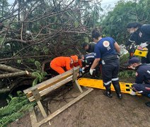 Adolescente é atingido por queda de árvore em Delmiro Gouveia