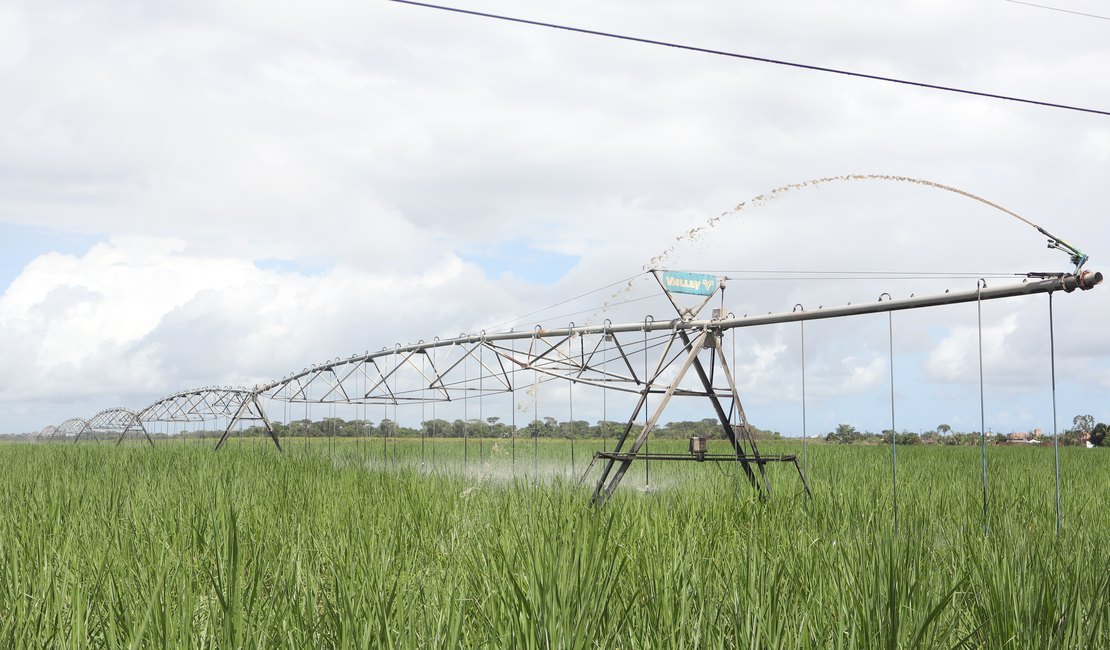 Comissão aprova ressarcimento para produtor rural por perdas decorrentes da falta de luz