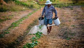 Garantia-Safra será pago em fevereiro a agricultores familiares