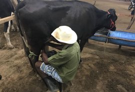 Torneio Leiteiro aponta resultados da produção na agricultura familiar