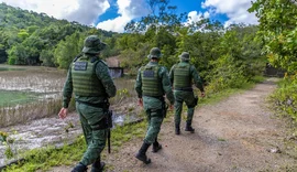 Jaguatirica invade casa em Penedo e mobiliza Polícia Ambiental