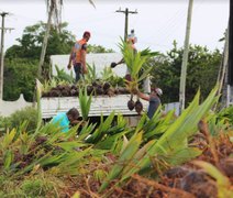 Coopaiba implementa modelo ATER 2.0 e reforça estratégia de qualificação da agricultura familiar