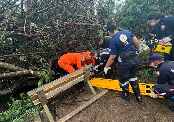 Adolescente é atingido por queda de árvore em Delmiro Gouveia