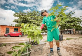 Ações da Prefeitura de Maceió já recuperaram dez pontos crônicos de lixo da capital