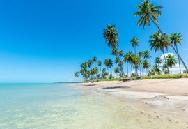 Praia do Patacho: paraíso sustentável de Alagoas que possui selo Bandeira Azul