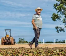 Cooperativas se destacam no Plano Safra e crédito rural registra crescimento anual