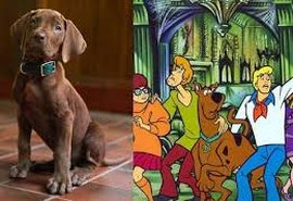 Netflix divulga primeira versão realista de Scooby-Doo em série live-action