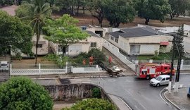 Chuva e ventania derrubam árvore e muro de casa em Maceió