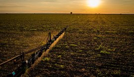 Embrapa promove orientações sobre uso eficiente de fertilizantes